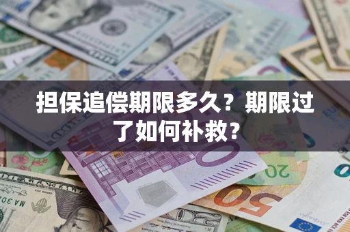 济南担保追偿期限多久？期限过了如何补救？