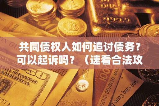 济南共同债权人如何追讨债务？可以起诉吗？（速看合法攻略）