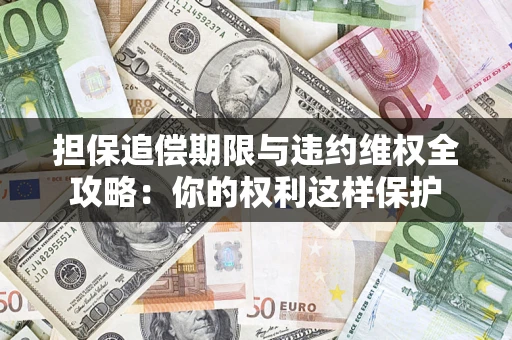 济南担保追偿期限与违约维权全攻略：你的权利这样保护